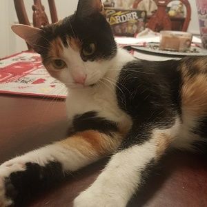 Meet your Posher, Madelyn